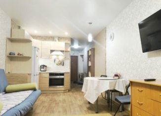 Аренда квартиры студии, 28 м2, Новосибирск, Покатная улица, 130/1, Октябрьский район