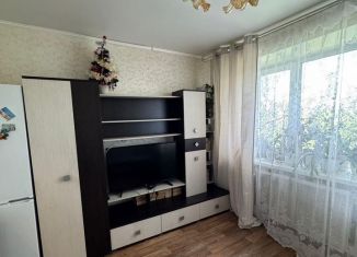 Сдаю 1-комнатную квартиру, 25 м2, Татарстан, Кирпичная улица, 1/31