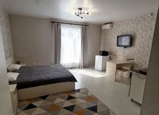 Продажа однокомнатной квартиры, 29 м2, Краснодар, микрорайон Завод Радиоизмерительных Приборов, Российская улица, 369А