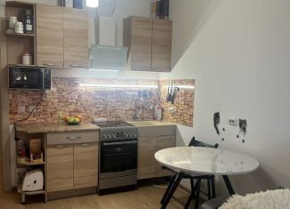 Квартира в аренду студия, 25 м2, Санкт-Петербург, Советский проспект, ЖК Невские Паруса