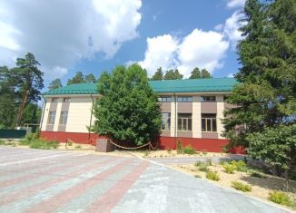 Продажа помещения свободного назначения, 1030 м2, Сысерть, улица Степана Разина, 41