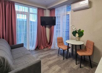 Продаю квартиру студию, 18 м2, Сочи, улица Пирогова, 26Б/1