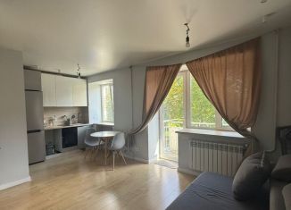 Продаю 1-ком. квартиру, 30.2 м2, Республика Башкортостан, Дачный переулок