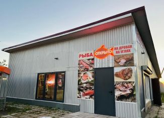 Продам торговую площадь, 140 м2, Ленинградская область, деревня Нижние Осельки, 21А