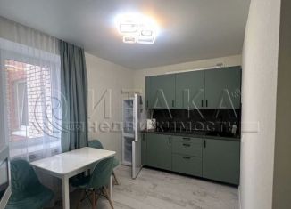 Сдается в аренду 1-ком. квартира, 39 м2, Санкт-Петербург, Вербная улица, 10к1