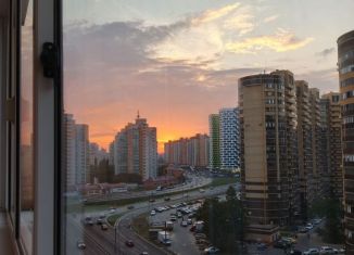 Сдаю 3-ком. квартиру, 75 м2, Воронеж, Олимпийский бульвар