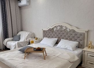 Аренда 1-ком. квартиры, 53 м2, Пятигорск, улица Пестова, 13к2