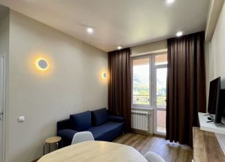 Сдаю 1-комнатную квартиру, 34.7 м2, Сочи, улица Калараша, 64/13к4