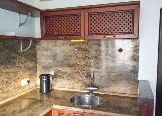 Сдача в аренду однокомнатной квартиры, 42.4 м2, Новосибирск, Октябрьский район, улица Шевченко, 34