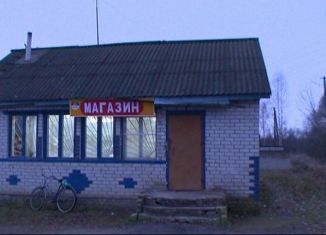 Помещение свободного назначения на продажу, 120 м2, Псковская область, улица Толкачёва, 3