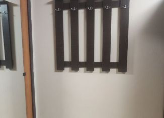 Сдаю квартиру студию, 21.3 м2, Челябинск, Набережная улица