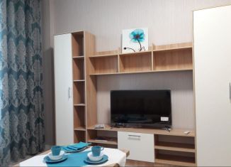 Аренда квартиры студии, 25 м2, Санкт-Петербург, Пулковское шоссе, 14с6, метро Звёздная