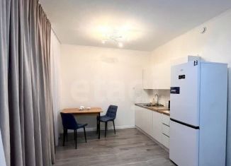 Продажа квартиры студии, 29 м2, Мурино, улица Шоссе в Лаврики, 53к2