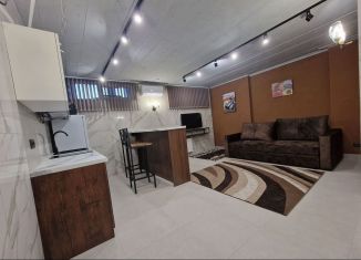 Сдается 1-ком. квартира, 42 м2, Республика Башкортостан, Коммунистическая улица, 98/1