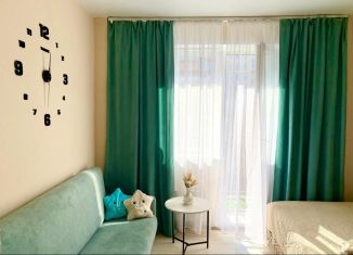 Сдам в аренду квартиру студию, 29 м2, Новосибирск, микрорайон Закаменский, 12, Октябрьский район