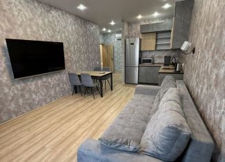 Сдается в аренду однокомнатная квартира, 67 м2, Саратов, Славянская площадь, 2