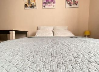 Сдается квартира студия, 25 м2, Ростов-на-Дону, улица Ткачёва, 14, ЖК Итальянский Квартал