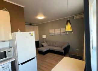 Сдам квартиру студию, 25.7 м2, Москва, улица Ефремова, 20, ЦАО