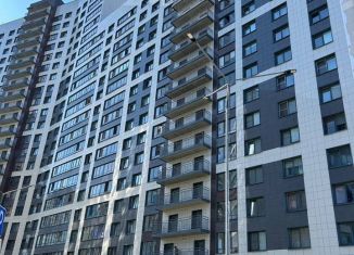 Сдаю 1-ком. квартиру, 44.7 м2, Мурино, проспект Авиаторов Балтики, ЖК Виктория