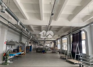 Сдача в аренду производства, 1941.7 м2, Новосибирская область, улица Ленина, 89/6