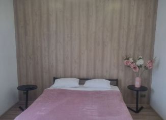 Сдача в аренду однокомнатной квартиры, 25 м2, Вельск, Советская улица, 34