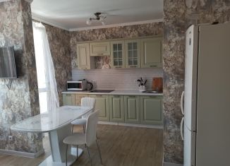 1-комнатная квартира в аренду, 45 м2, Краснодар, улица Героев-Разведчиков, 6к2, микрорайон Панорама