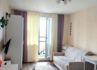 Продаю квартиру студию, 21 м2, посёлок Парголово, улица Шишкина, 299