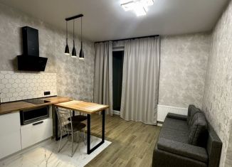 1-ком. квартира в аренду, 40 м2, Тверь, 2-я улица Красина, 64