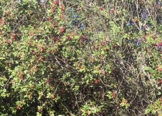 Продается земельный участок, 7 сот., Республика Башкортостан