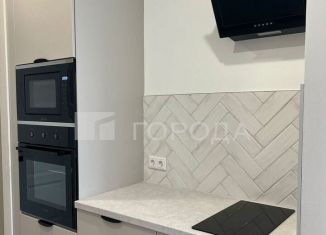 Квартира в аренду студия, 28 м2, Новосибирск, Октябрьский район, улица Никитина, 67