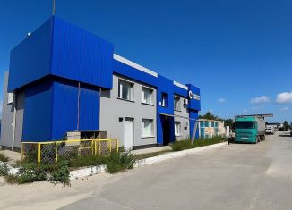 Сдаю в аренду офис, 251.6 м2, Воронежская область, улица Черепанова, 1