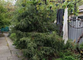 Сдача в аренду дома, 50 м2, Крым, проспект Академика Вернадского, 20