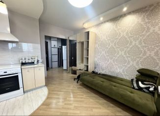 Аренда квартиры студии, 24 м2, Ростов-на-Дону, переулок Салютина, 2