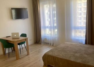 Сдаю квартиру студию, 25.6 м2, деревня Новое Девяткино, Главная улица, 8