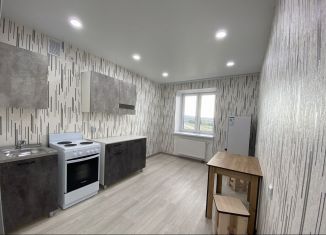 1-ком. квартира в аренду, 38 м2, Октябрьский, Парковая улица, 5