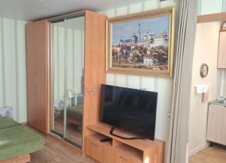 1-комнатная квартира на продажу, 29.3 м2, Нижний Новгород, Мончегорская улица, 15Ак1, Автозаводский район