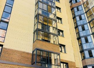 Сдача в аренду 1-комнатной квартиры, 35 м2, Ярославль, Чернопрудная улица, 39