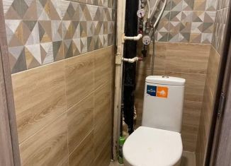 Продается однокомнатная квартира, 30.5 м2, Санкт-Петербург, проспект Просвещения, 22к2