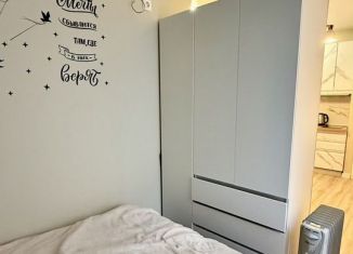 Сдам в аренду квартиру студию, 20 м2, Санкт-Петербург, улица Марата, 70А-70Б