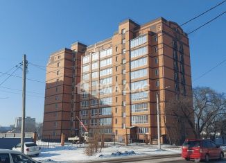 Продам однокомнатную квартиру, 38 м2, Благовещенск, Конная улица, 150