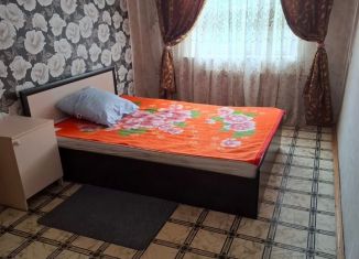 Сдается двухкомнатная квартира, 50 м2, Елец, Клубная улица, 1
