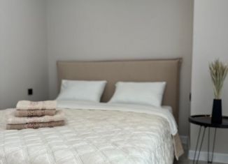 Сдается в аренду квартира студия, 37 м2, Ростов-на-Дону, улица Оганова, 20с5, ЖК Сокол на Оганова