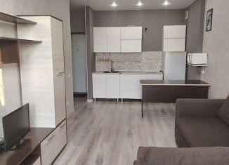 Аренда квартиры студии, 30 м2, Тюмень, улица Фармана Салманова, 3