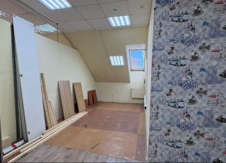 Сдается в аренду производство, 36.5 м2, Казань, улица Бурхана Шахиди, 17