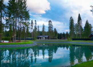 Продам участок, 12 сот., деревня Папушево