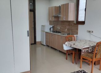 Сдам в аренду квартиру студию, 24 м2, Сочи, Суздальская улица, 14В, микрорайон Верхнеимеретинская Бухта