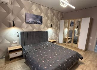 Сдается 1-комнатная квартира, 50 м2, Пятигорск, Первомайский переулок, 11