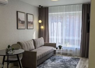 Аренда однокомнатной квартиры, 32.7 м2, Татарстан, улица Анаса Тазетдинова, 7к3