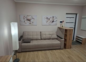 Сдаю в аренду квартиру студию, 29.3 м2, Кисловодск, Окопная улица, 16/16А