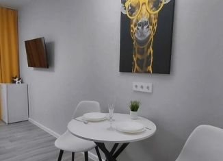 Сдается в аренду квартира студия, 26 м2, Ростов-на-Дону, проспект Солженицына, 15/1с1